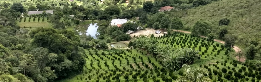 Parque Natural Municipal Montanhas de Teresópolis