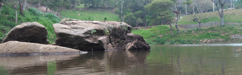 Parque Natural Municipal Montanhas de Teresópolis