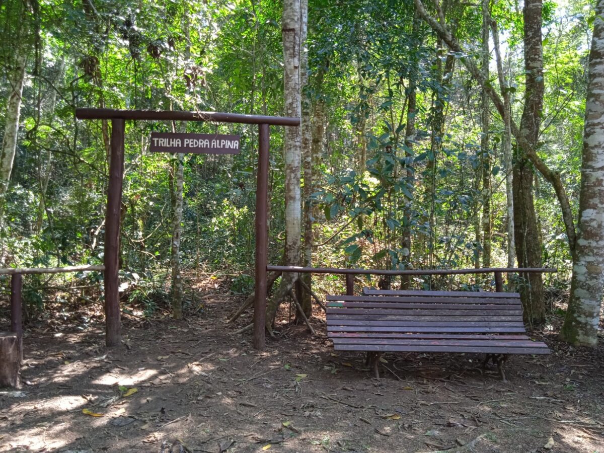 PNMMT | Santa Rita - Image 6