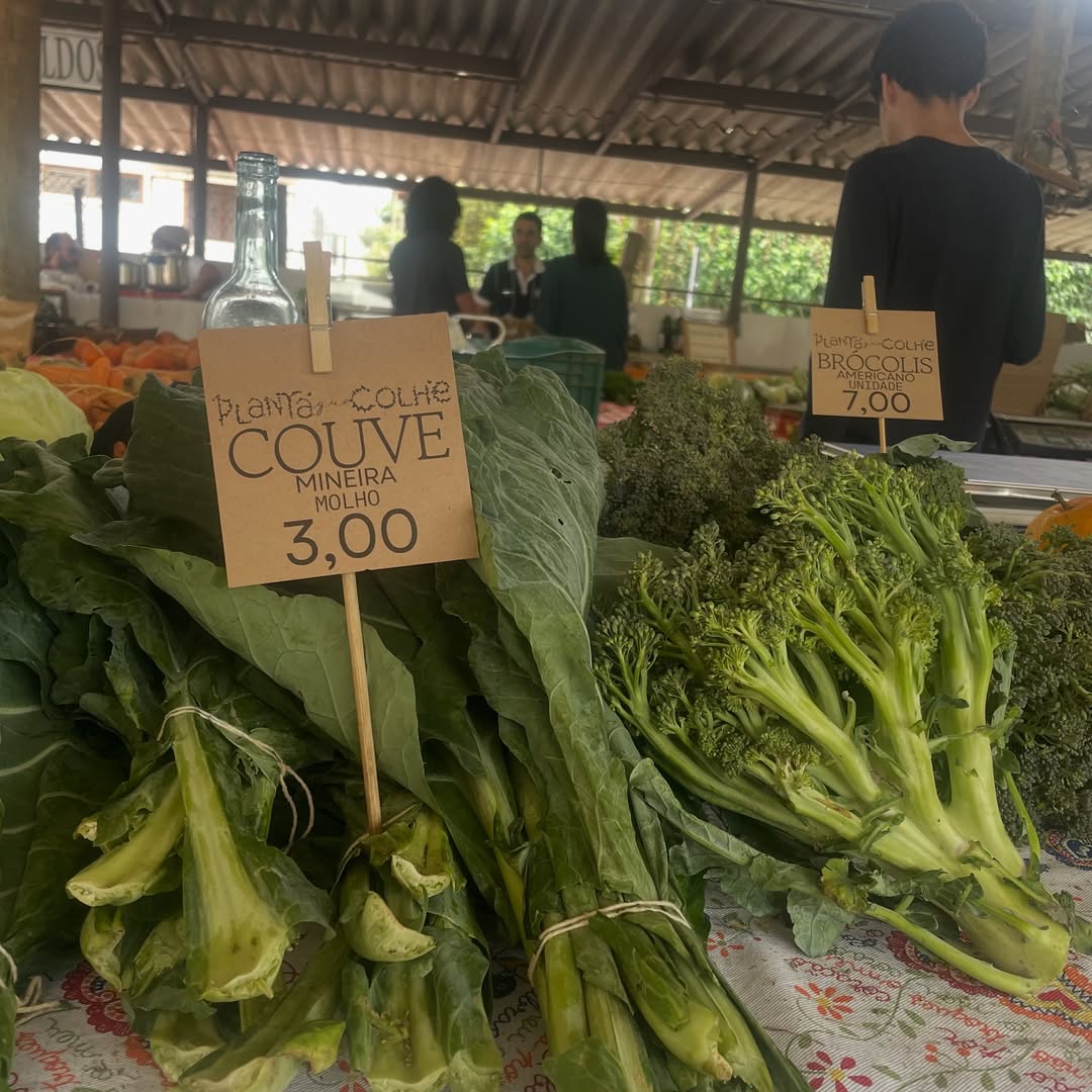 Feira Agroecológica de Teresópolis - Image 5