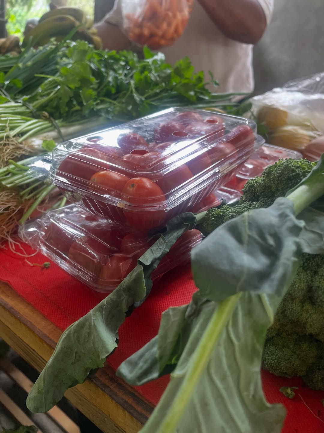 Feira Agroecológica de Teresópolis - Image 3