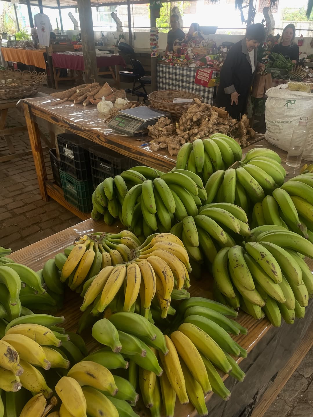 Feira Agroecológica de Teresópolis - Image 7