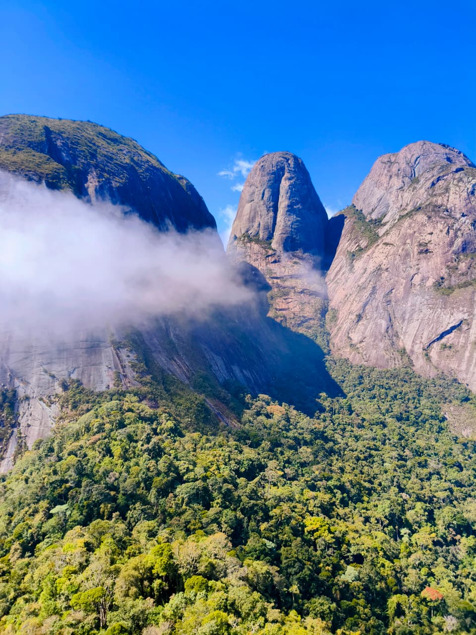 Parque Estadual dos Três Picos - Image 4