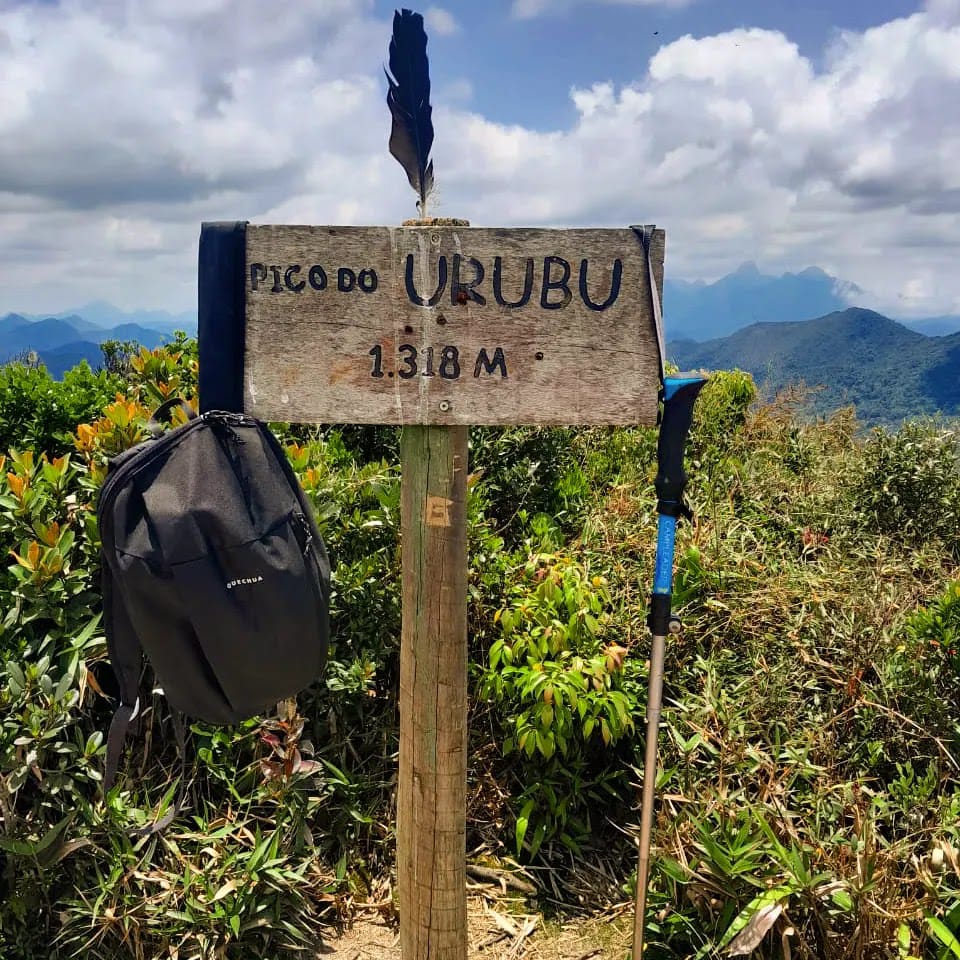 Parque Estadual dos Três Picos - Image 9